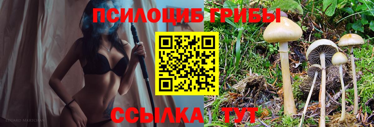 Губаха  Псилоцибиновые грибы GOLDEN TEACHER  Вход с VPN  Галлюциногенные грибы ЛСД 